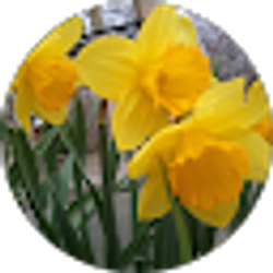 Profile photo of Charlene Abbott