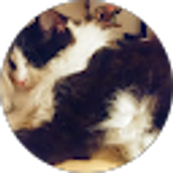 Profile photo of Jeanene Weaver