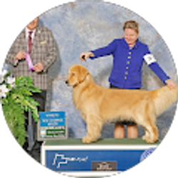 Profile photo of Christine Harp