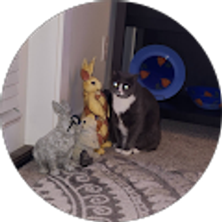 Profile photo of Tracie Barnett