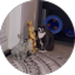 Profile photo of Tracie Barnett