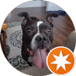 Profile photo of Mindy Porter