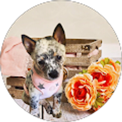 Profile photo of Shannon D.