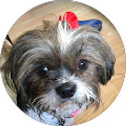 Profile photo of Leonard Ballew