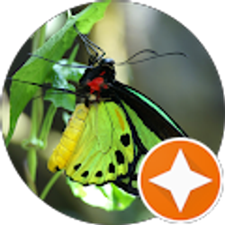 Profile photo of Melody M