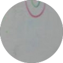 Profile photo of Cassandra Danielle Good