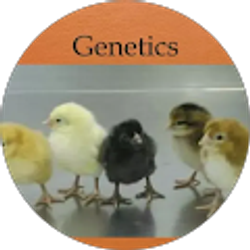 Profile photo of Maria Manongdo