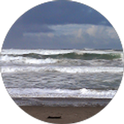 Profile photo of CAROL HOOVER