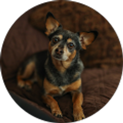 Profile photo of Breanna V