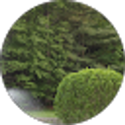 Profile photo of Prishtina