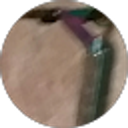 Profile photo of Ayden Middleton