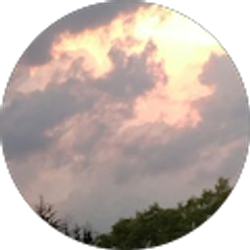 Profile photo of Future Corpse