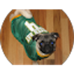 Profile photo of Matt Hoppe