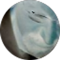 Profile photo of James Neve