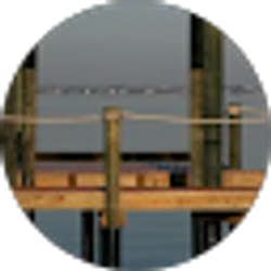 Profile photo of Sea Horse Secretary