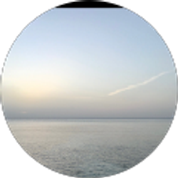 Profile photo of Anthony Nowack