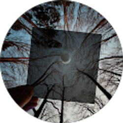 Profile photo of Joel C.