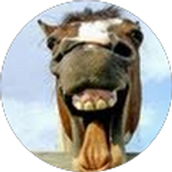 Profile photo of Robert Kagley