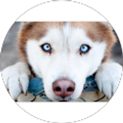 Profile photo of Jimmy Haw