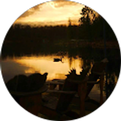 Profile photo of Monica Stenzel