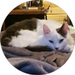 Profile photo of Staci Krominga