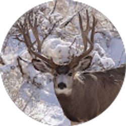 Profile photo of Terrance Buhr