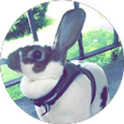 Profile photo of Alexandria Barnett