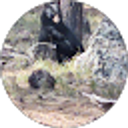 Profile photo of Tammy Roberts
