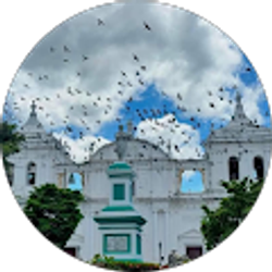 Profile photo of Fernando Jose Arauz Hidalgo