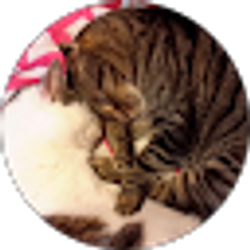 Profile photo of Laura Linker