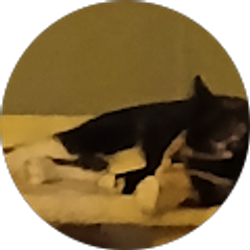 Profile photo of Candi Greenly