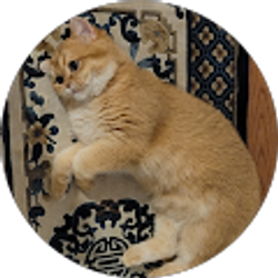 Profile photo of L T