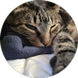 Profile photo of Sarah Boofer