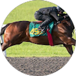 Profile photo of Al Collins