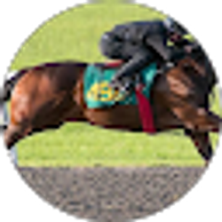 Profile photo of Al Collins