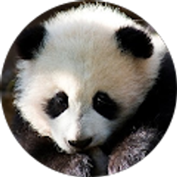 Profile photo of Eric Linton