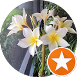 Profile photo of Patricia Reilly