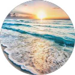 Profile photo of Linda Carman