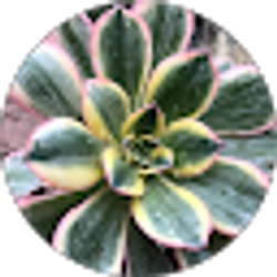 Profile photo of Preston Cox