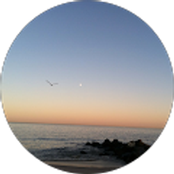 Profile photo of Michele Racavich