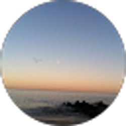 Profile photo of Michele Racavich