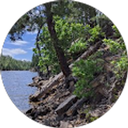 Profile photo of Mitchell Tabrizi