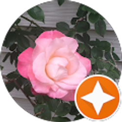 Profile photo of Hogram Tassle