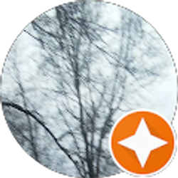 Profile photo of Garnet