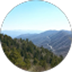 Profile photo of Lori Hockensmith
