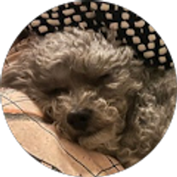 Profile photo of Leo Shabalin-Sial