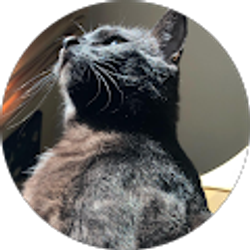 Profile photo of Alicia Sauer