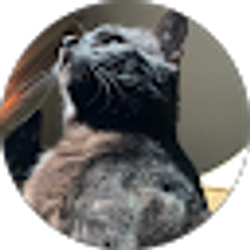 Profile photo of Alicia Sauer