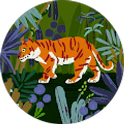 Profile photo of J C