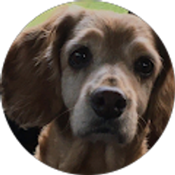 Profile photo of Michael Larkins